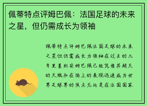 佩蒂特点评姆巴佩：法国足球的未来之星，但仍需成长为领袖