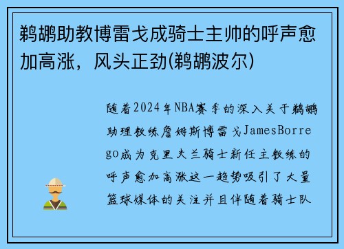 鹈鹕助教博雷戈成骑士主帅的呼声愈加高涨，风头正劲(鹈鹕波尔)