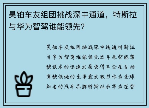 昊铂车友组团挑战深中通道，特斯拉与华为智驾谁能领先？
